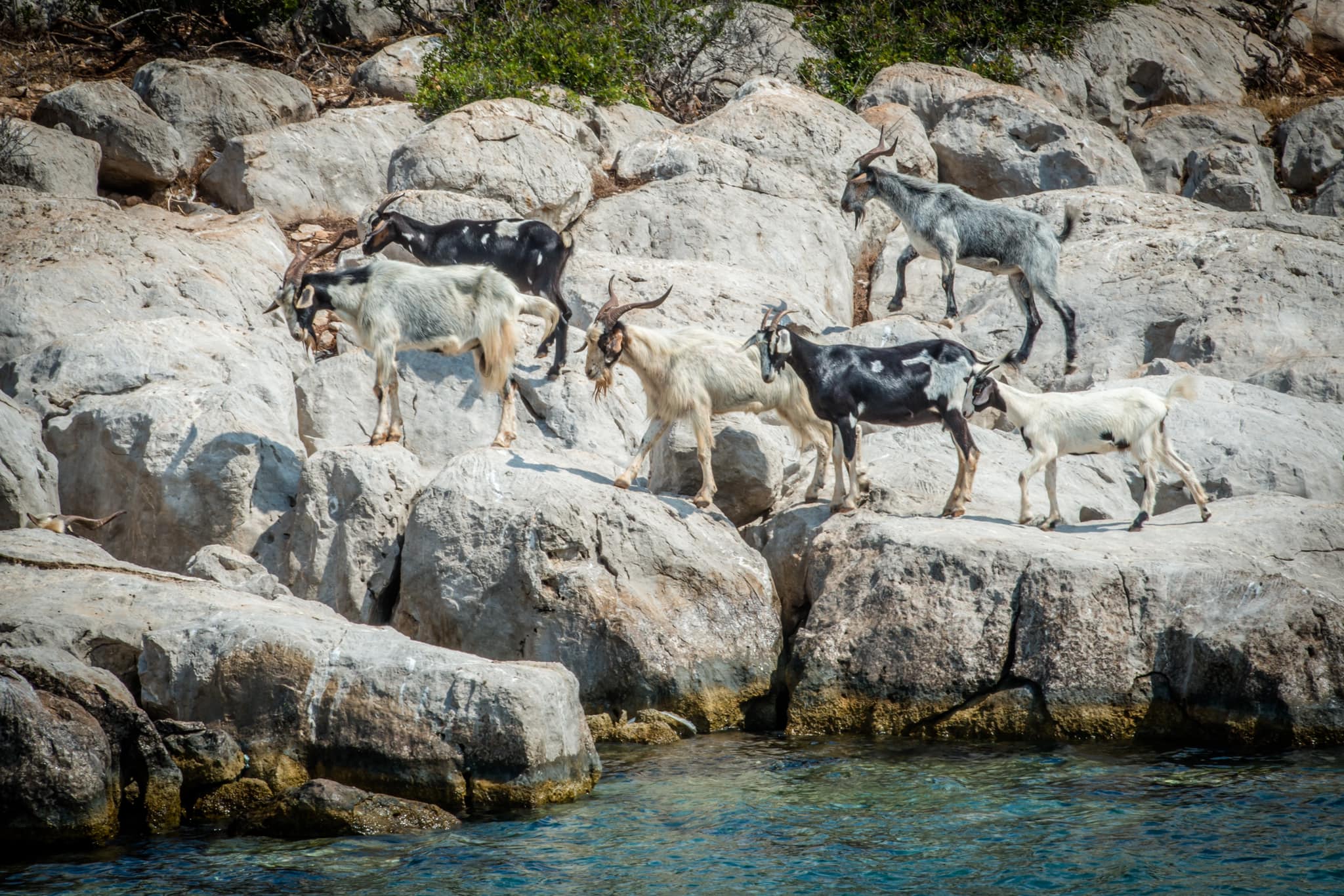 Korakia & Portokheli, Greece 🇬🇷