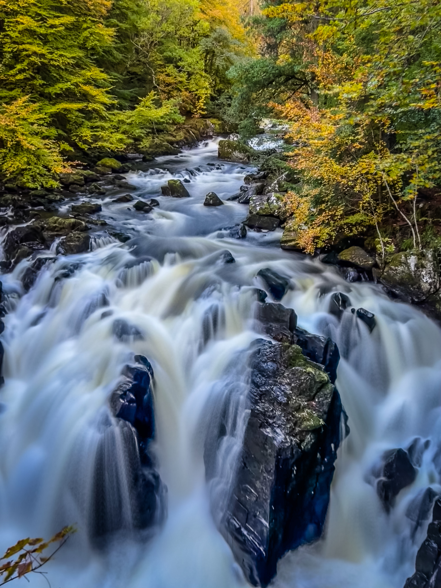 Dunkeld & Black Linn Falls, Scotland 🏴