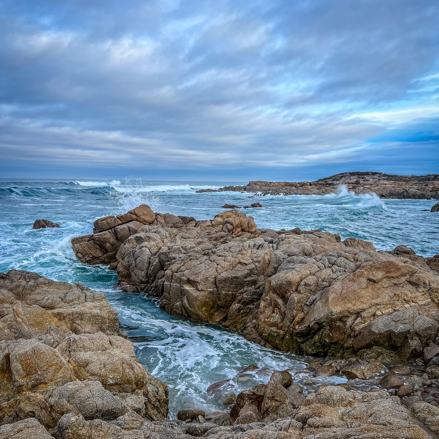 Monterey, California 🇺🇸 🦦