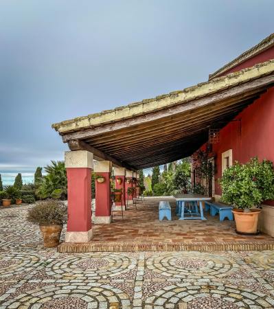 Exploring Jerez: A Wine & Sherry Adventure