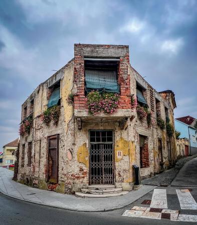 🇭🇷 Osijek & Vukovar: Homemade Brandy and the Scars of War